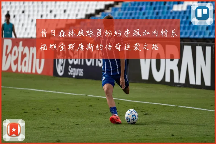 昔日森林狼球员纷纷夺冠加内特乐福维金斯唐斯的传奇逆袭之路